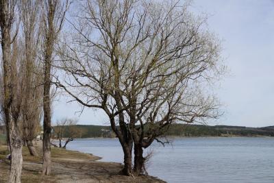 Прикрепленное изображение: A58DSC02415-1.jpg